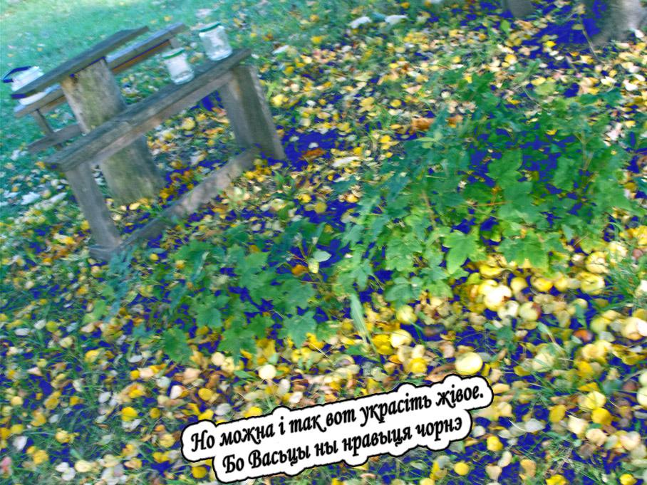 Гэто ж вата оно памыдор!