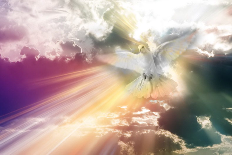 Таинственный Набросок. Поэма-сказка