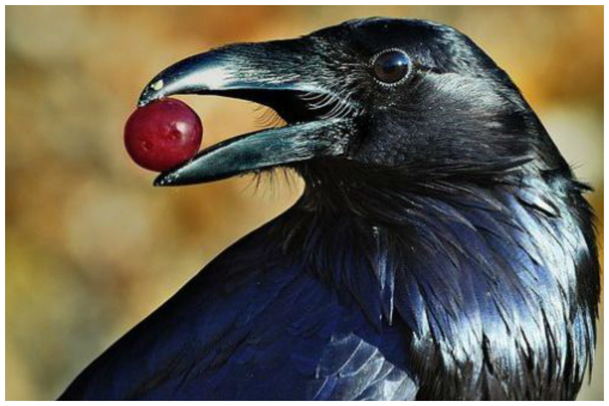 Воздушный поцелуй