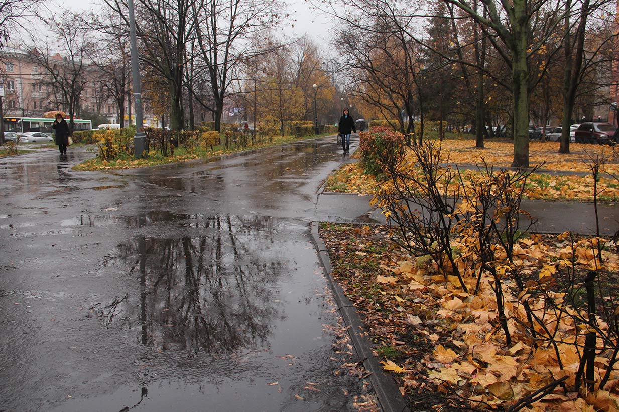 Предзимье Зинаида. Торопчина