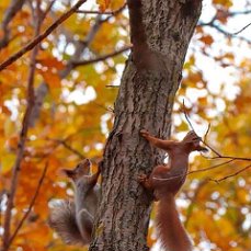 Как поэтами воспето..