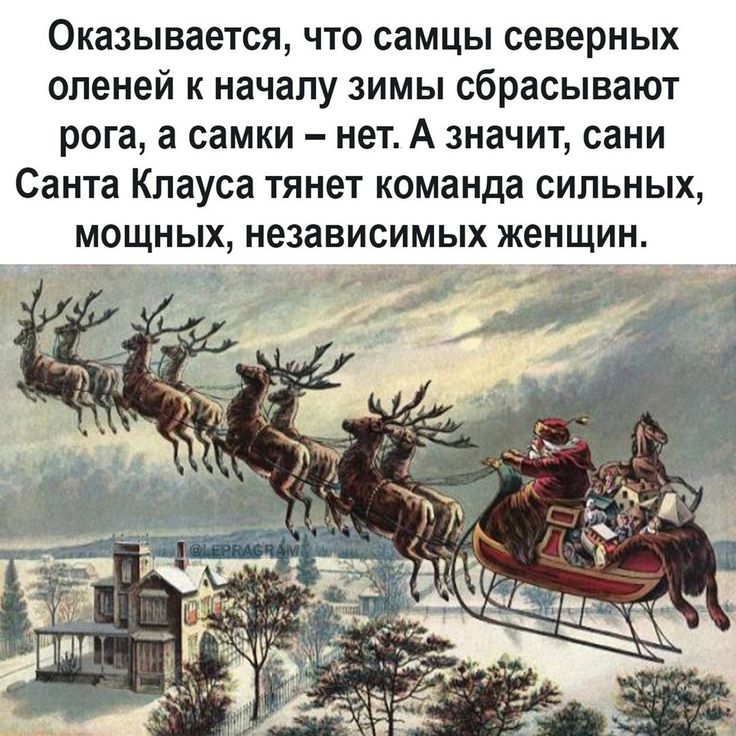 Упряжка Санта-Клауса