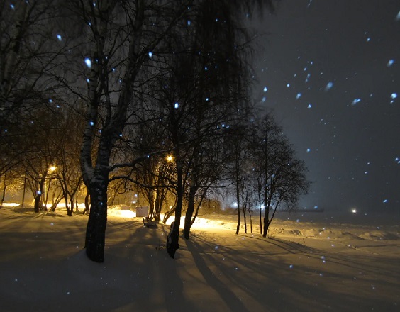 Сватовство, глава 7