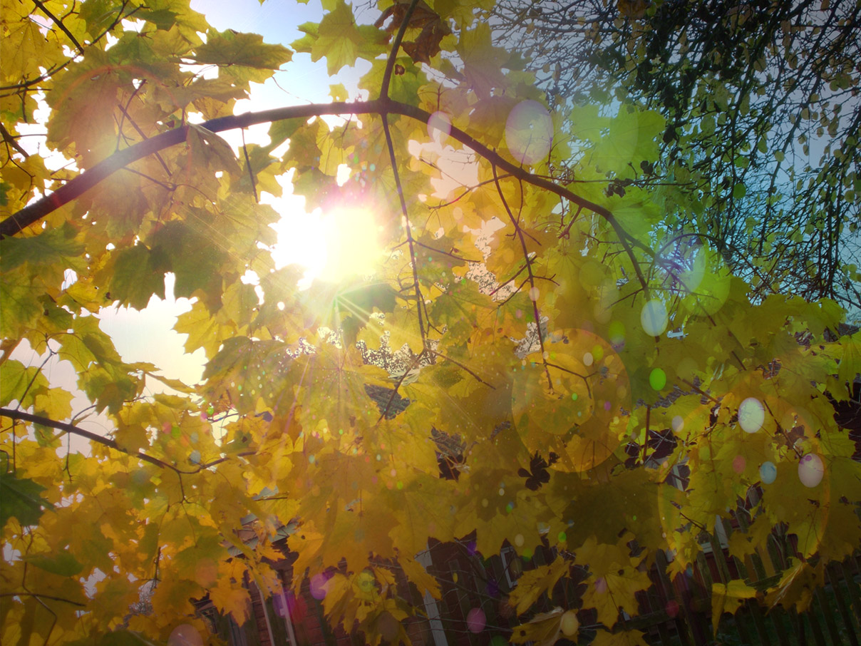 Эта песня киянкам, что ждут,