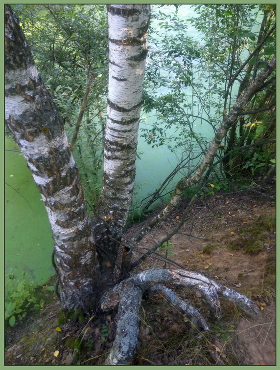 Режиссеры - 281-290