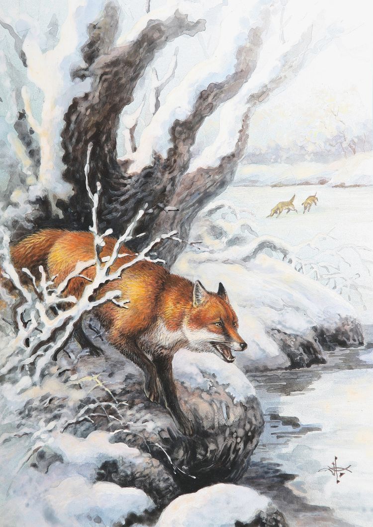 Белый снег...