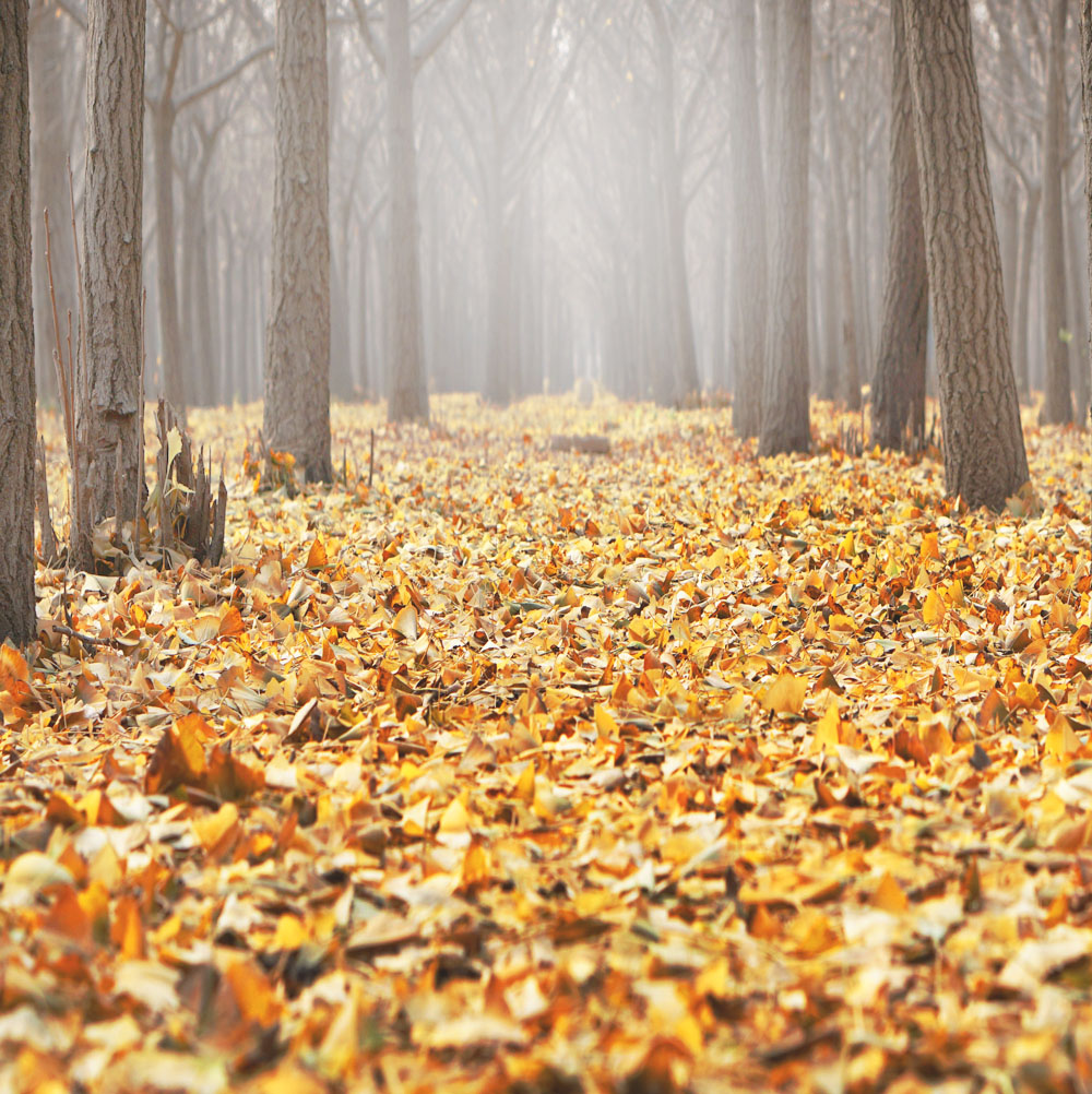 Уходит осень