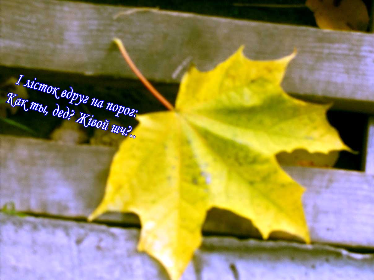 Гой, ек лёгко самому пак жыць!