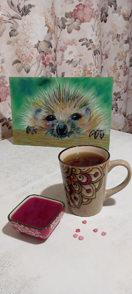 Ёжик для Майи