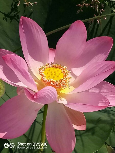 Не думала, что можно так скучать