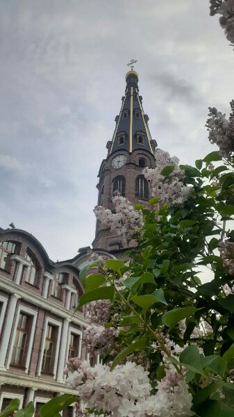 Злу нельзя не покориться