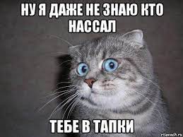 А я совсем ни в чем не виноватый...