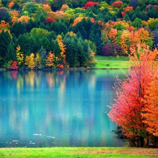 Осень, ты такая кудесница