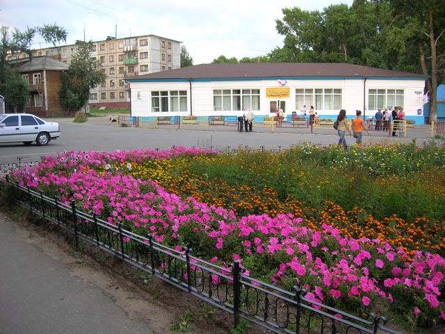 Новодвинская сирень