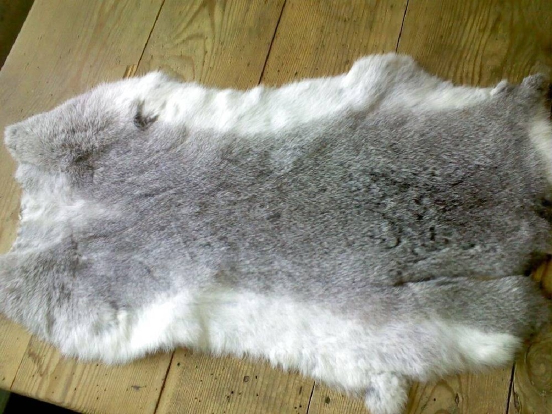 У кроликов шерсть нормальной