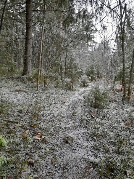 5 ноября. Мысли вслух...