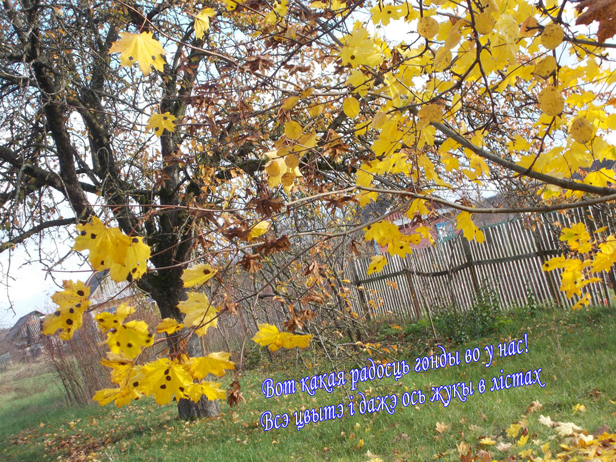 Ты ны надто ля нам Брыль Василь!