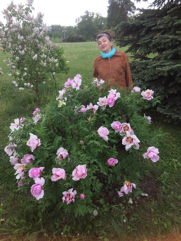 Японская сказка - ветер и цветок