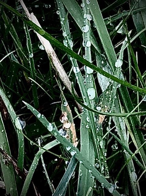 Сс.. хайку тавтограмма