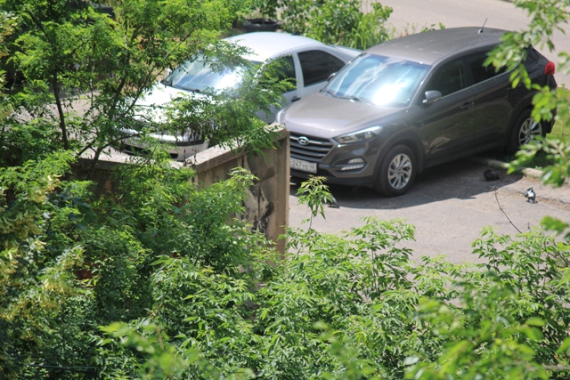 Что ж ты, актриса, хватит петь?