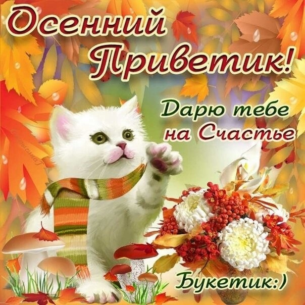 Осеннее письмо