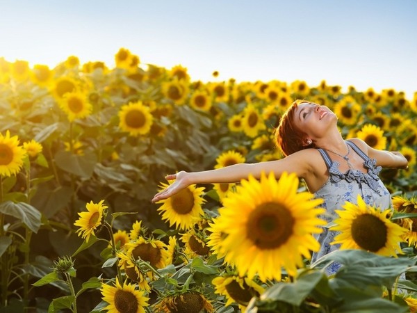 По мотивам Эудженио Монтале Подари мне подсолнух