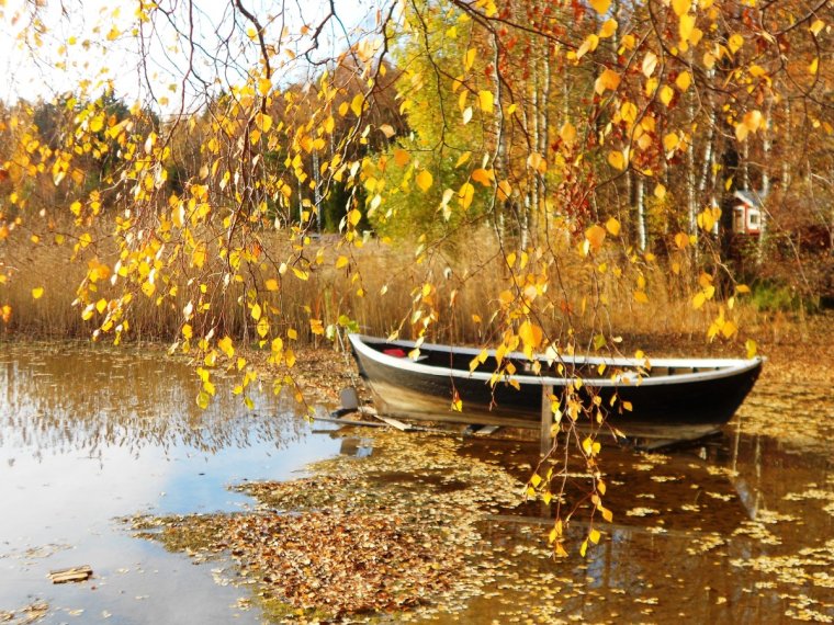 https://stihi.ru/pics/2022/11/09/7729.jpg