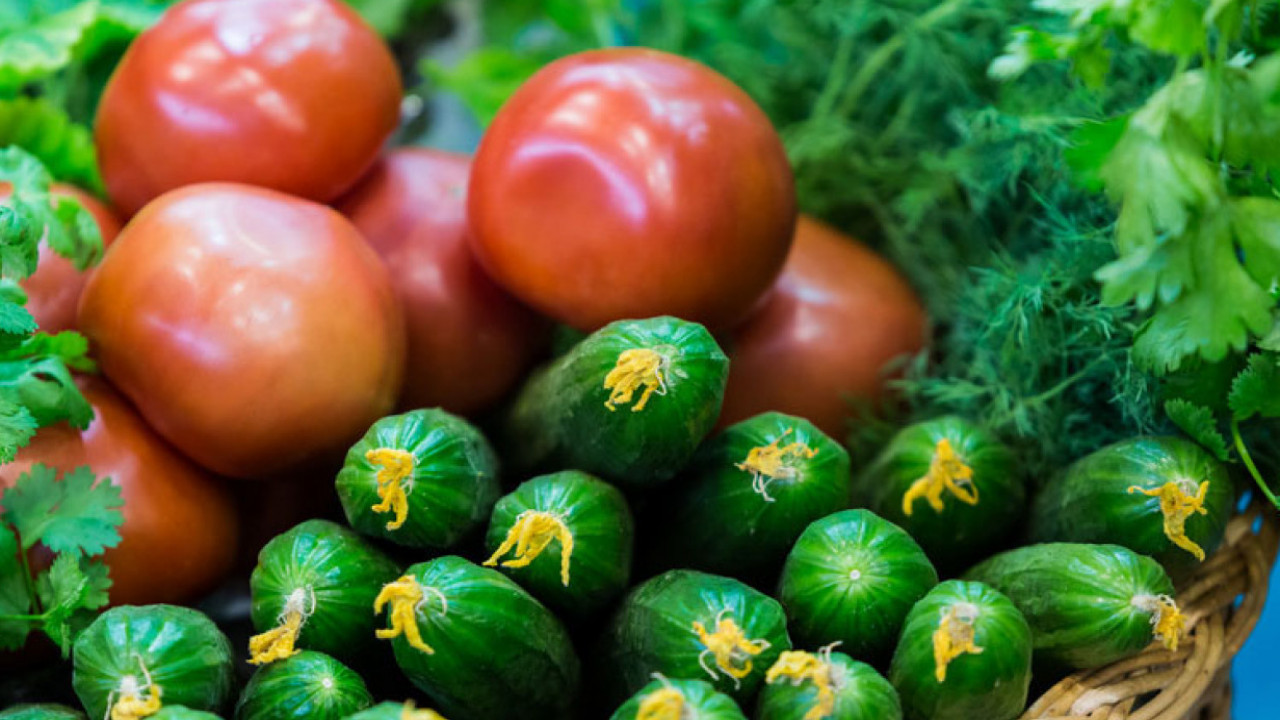 томат евпатор f1. помидоры сорт огурцы. огурец конни f1. томат махитос f1. семена огурцов и помидоров.