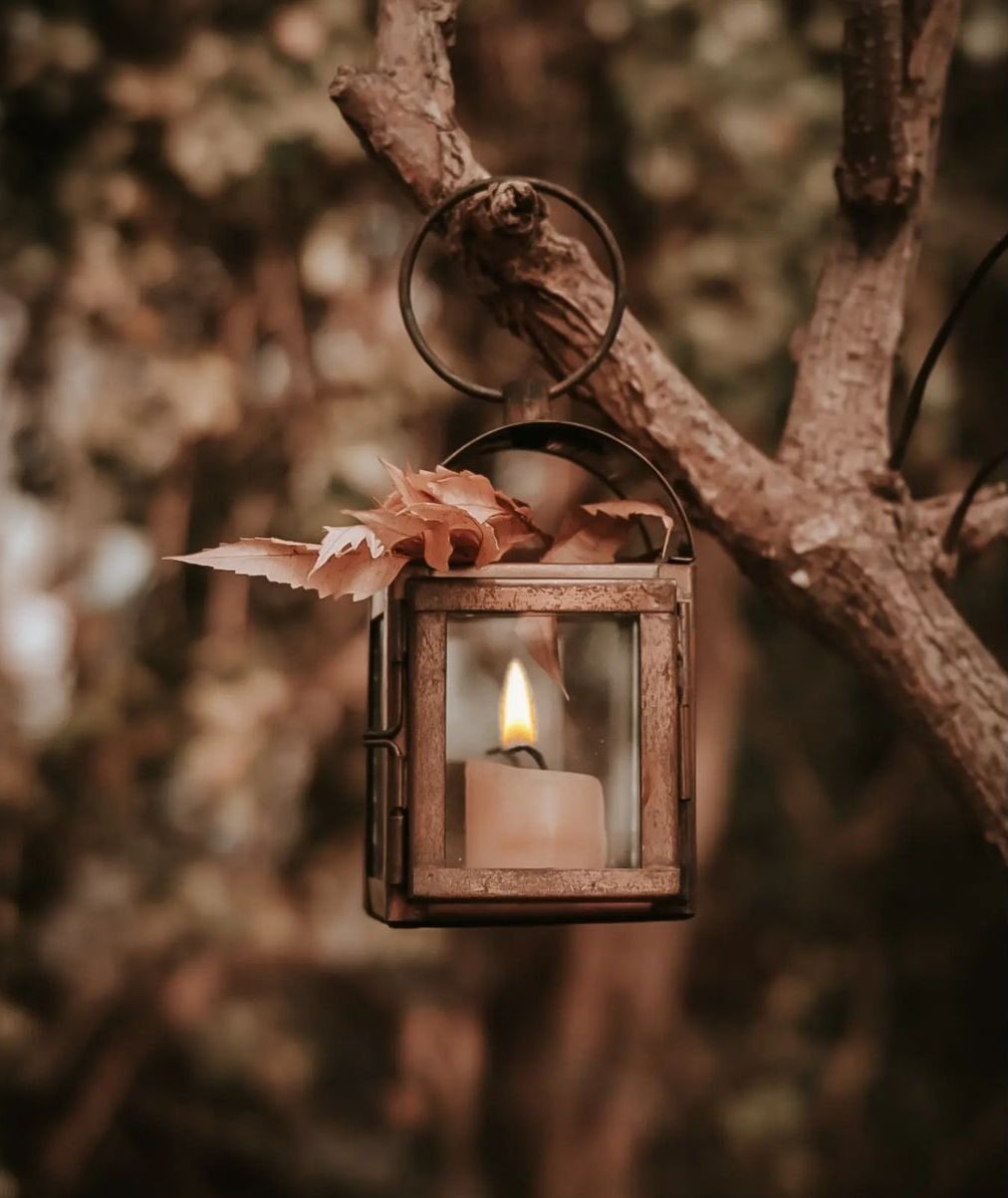 Не стоит жалеть...