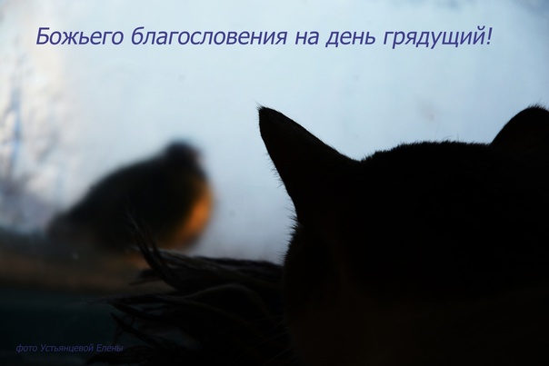 Прости