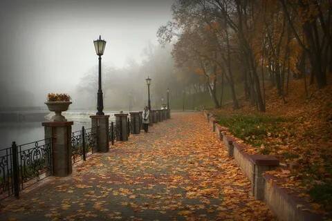 Поздняя осень