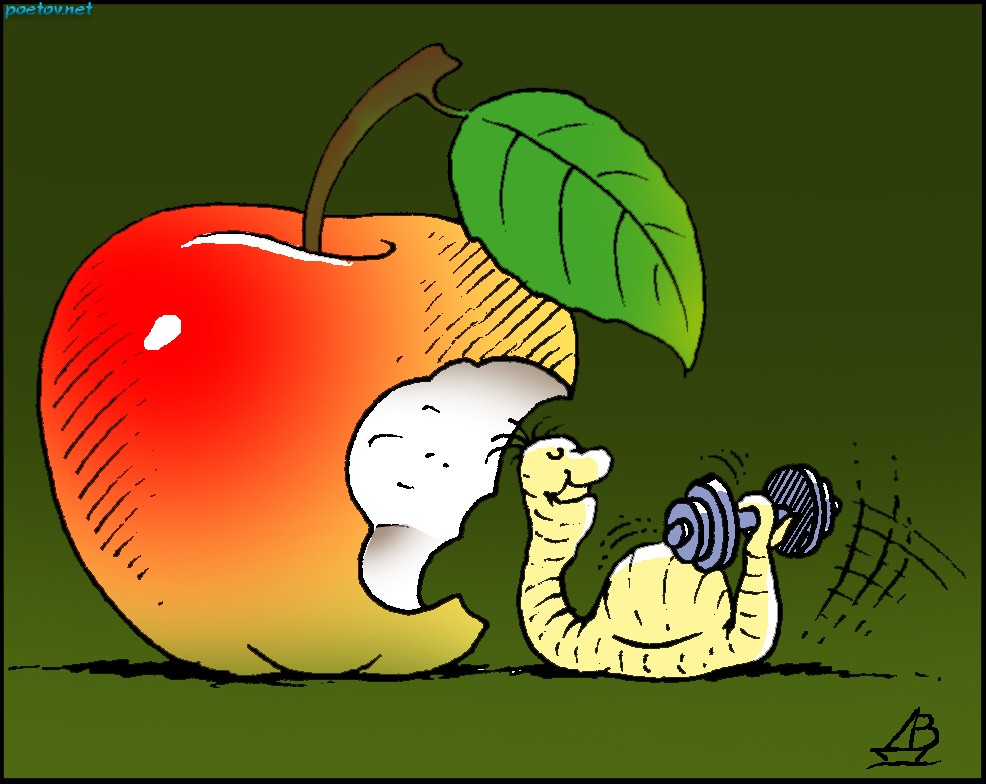 Реинкарнация. Или как я стал Человеком