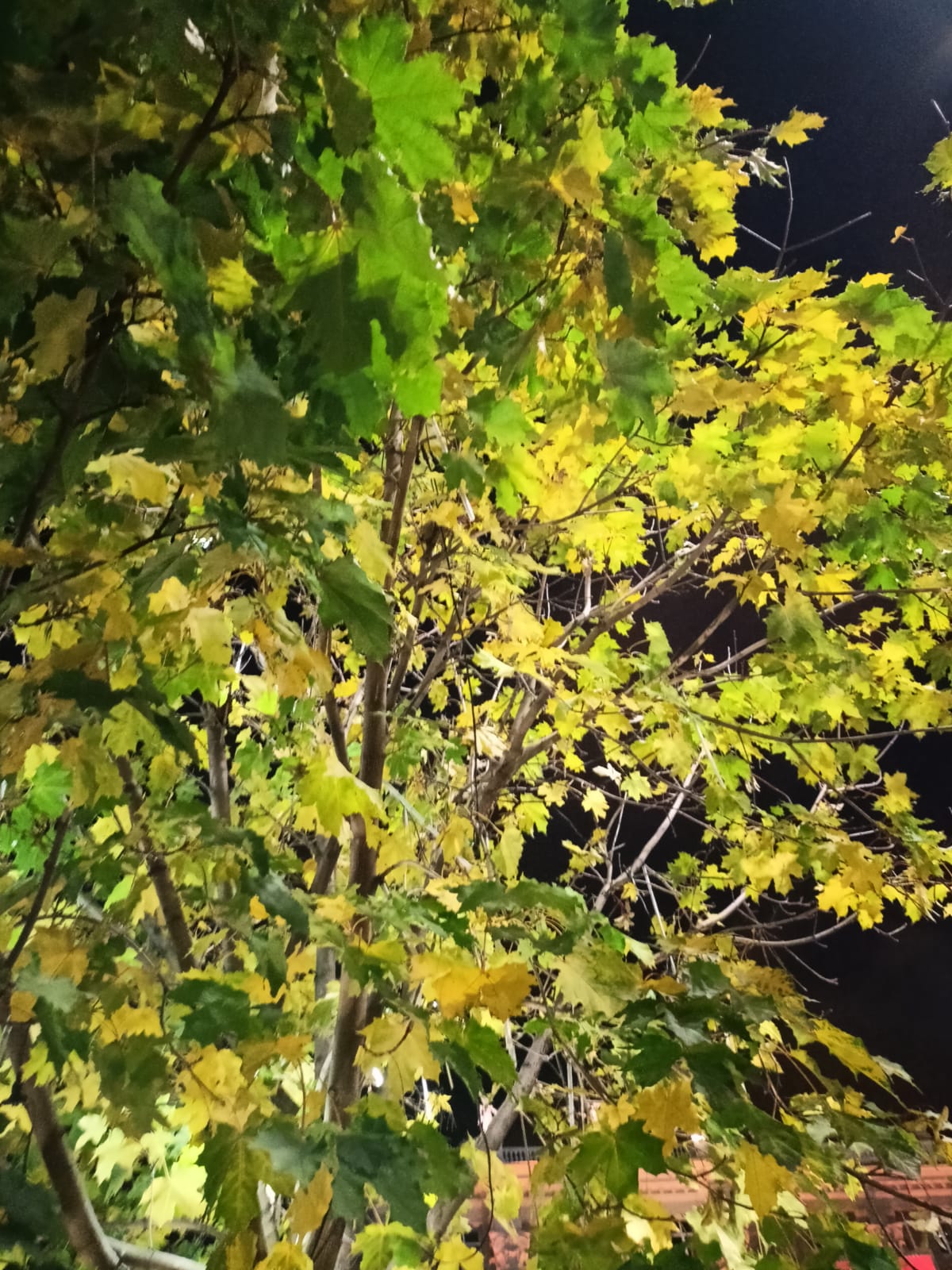 Закончилась любовь