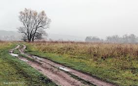 834. Жестокость