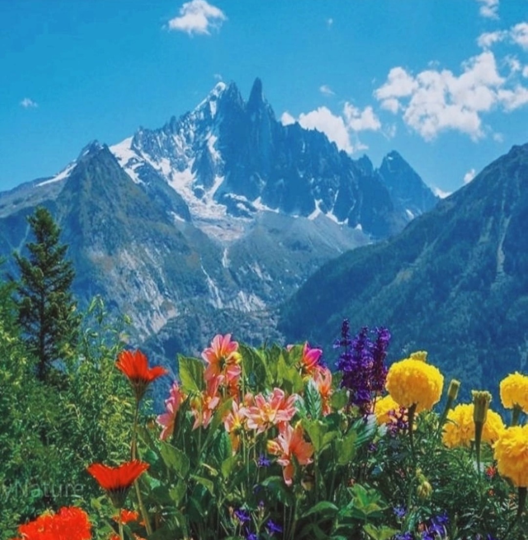 И Вечность - дыханье Её, ,