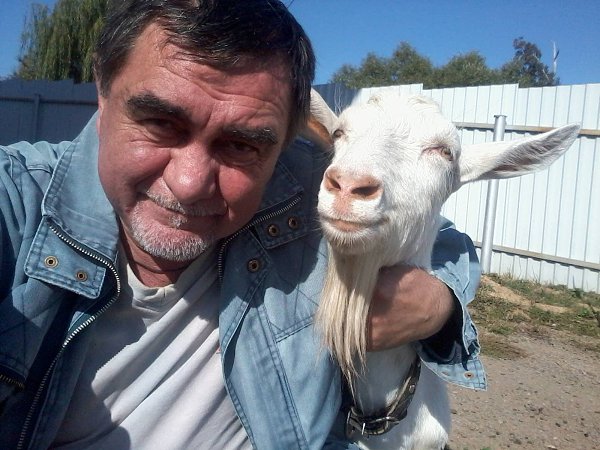 Все мужики - козлы!!! Зато какие!