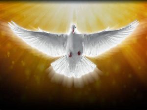 Явление на поле брани