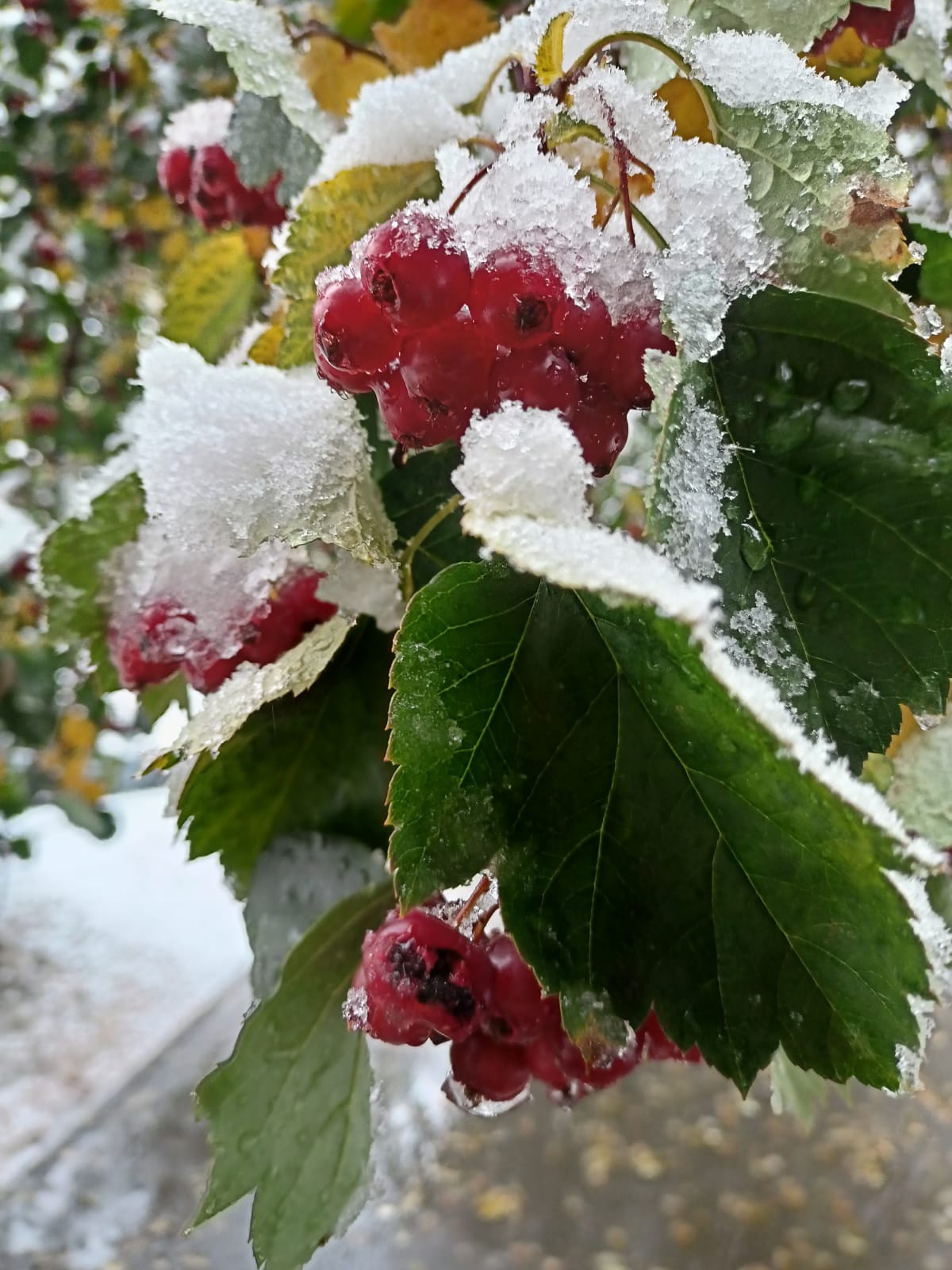 Вечер ноября