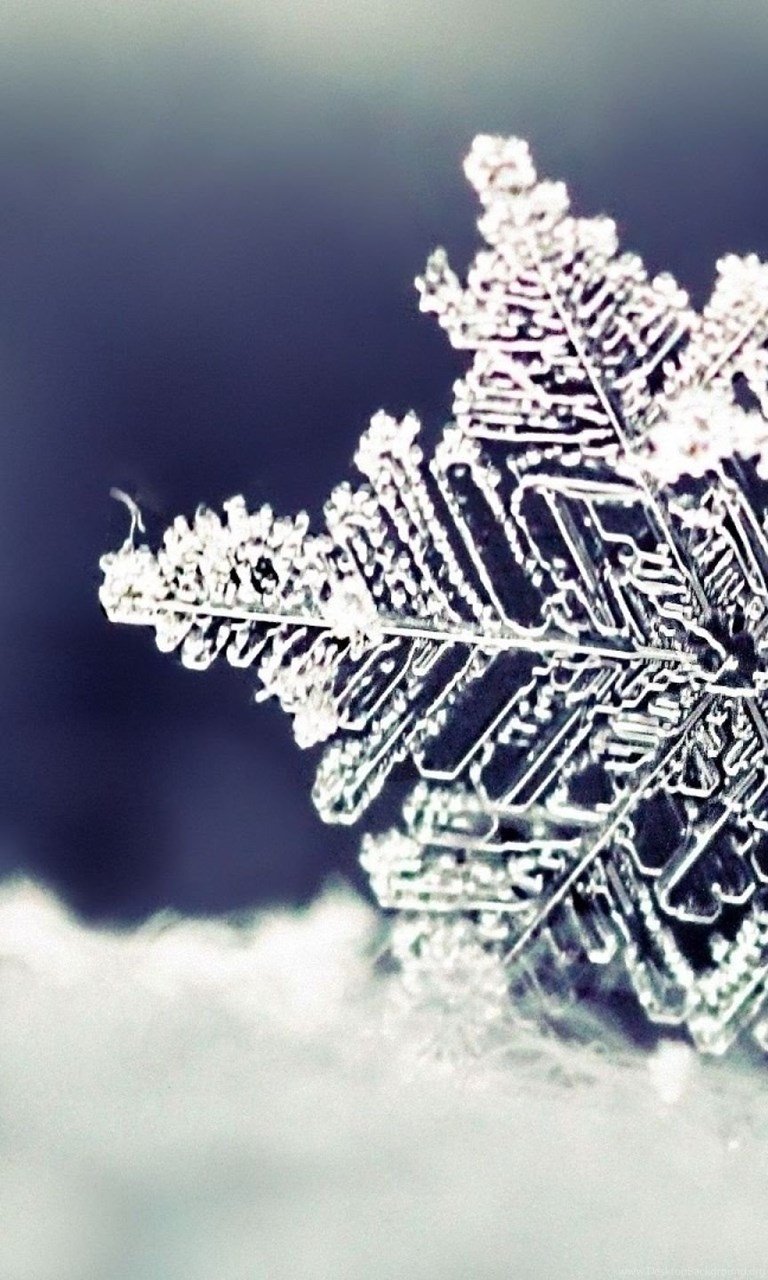 Снег, снег, снег...