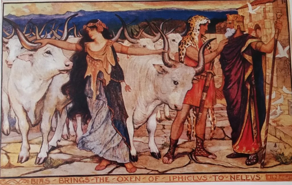 Солнечные стада