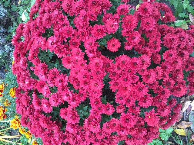 Экспромтик во время обстрела