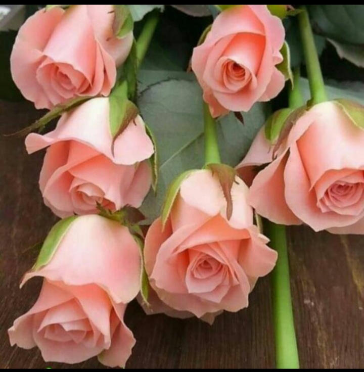 От всей души