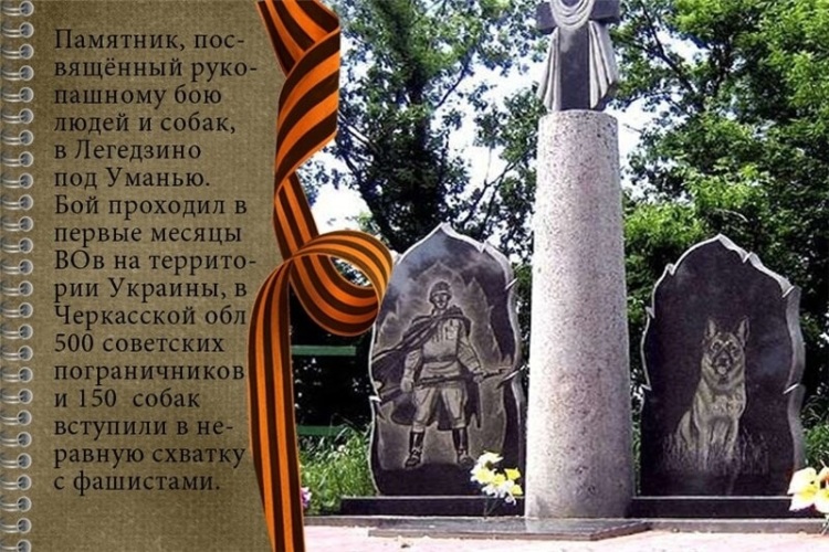 Полторы сотни преданности...