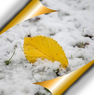 Снег в ноябре