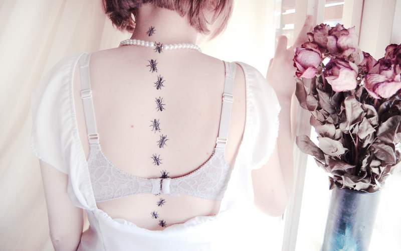 Таракан в лифчике