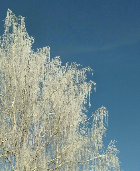 Россия зимой