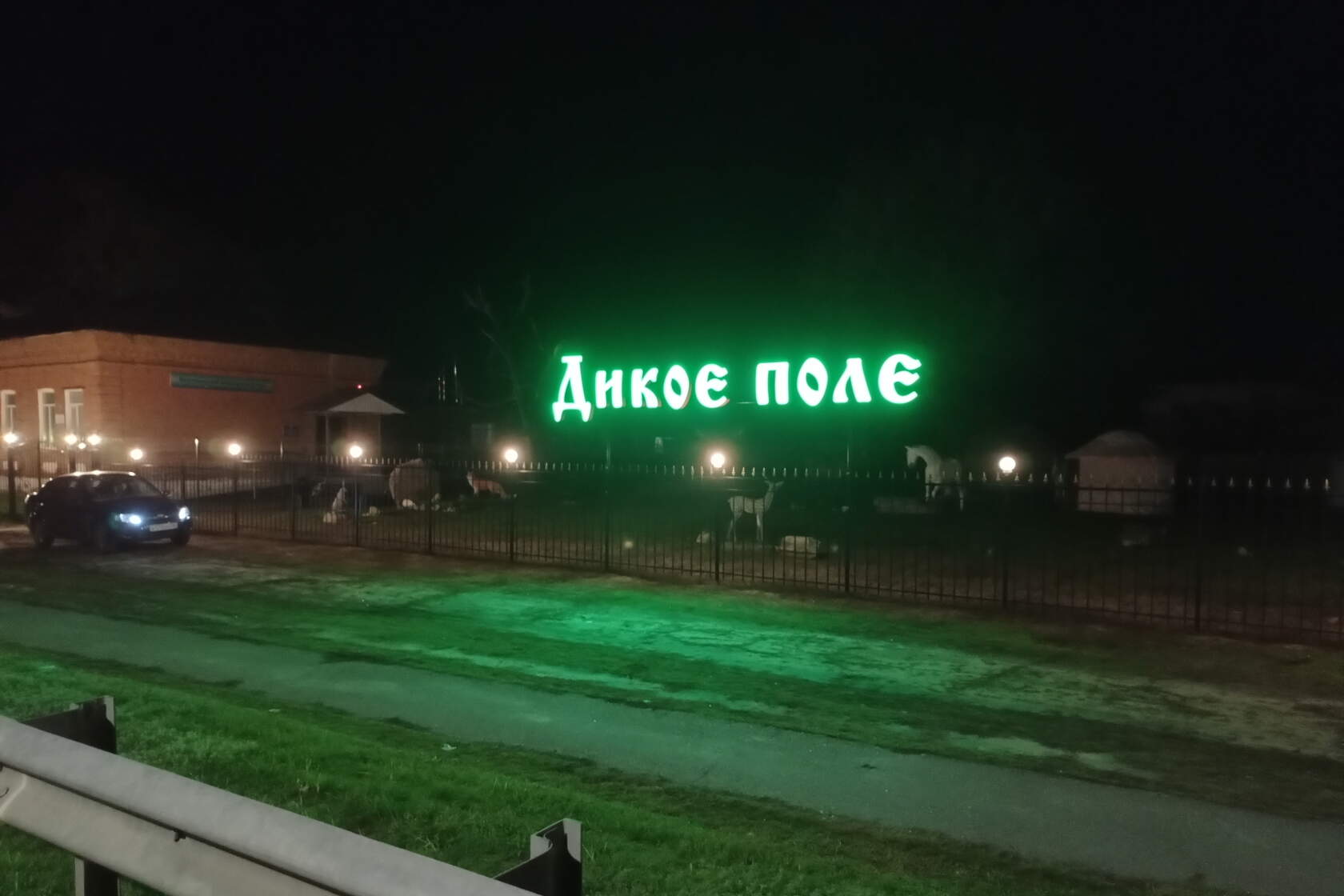 Дикое поле