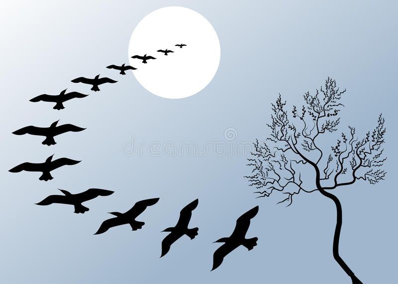 Так случилось