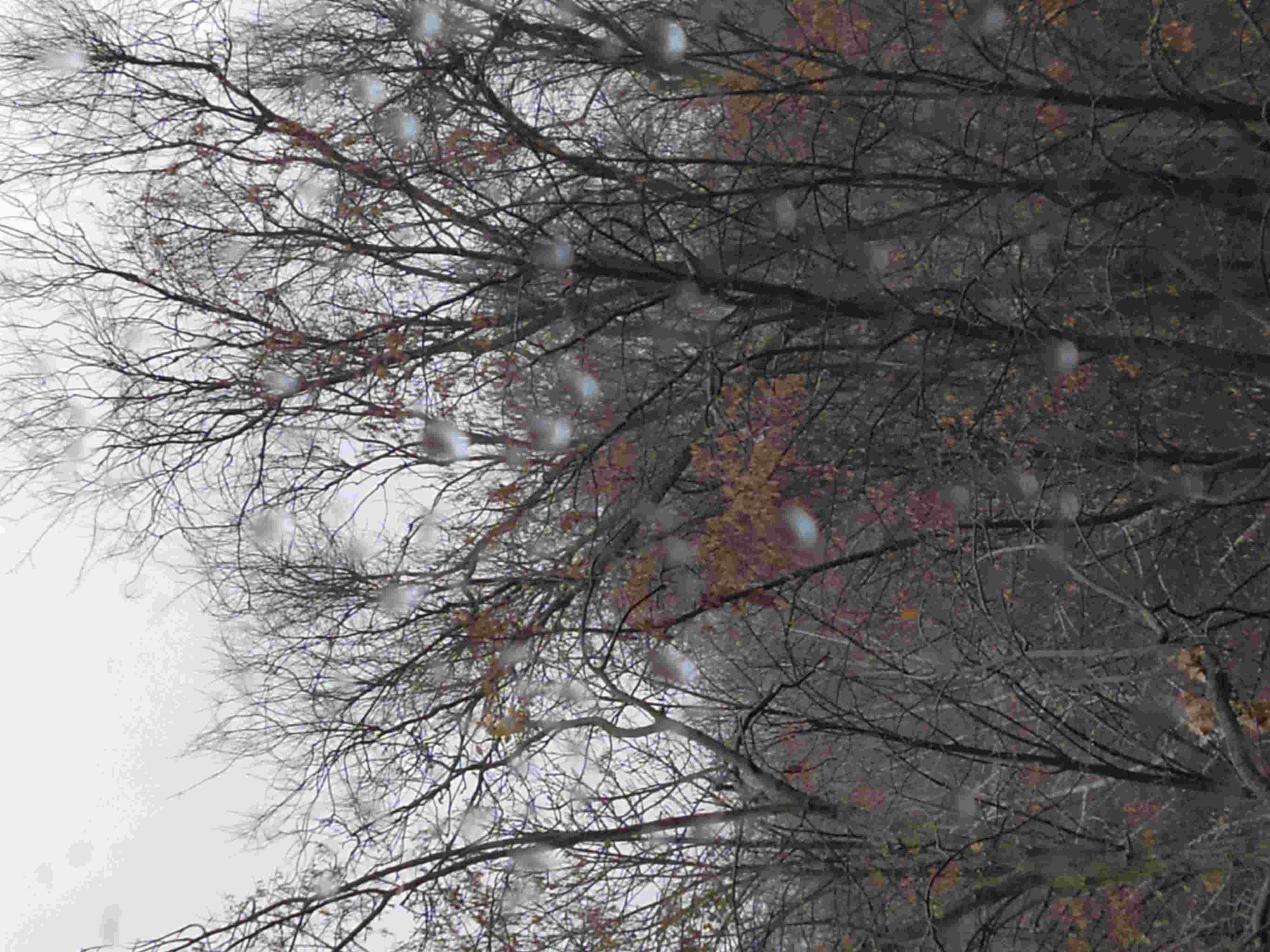 Натянутой струною...