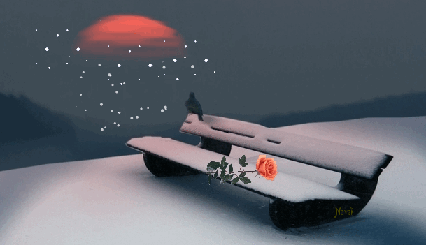 А первый снег, не ведая всей правды...